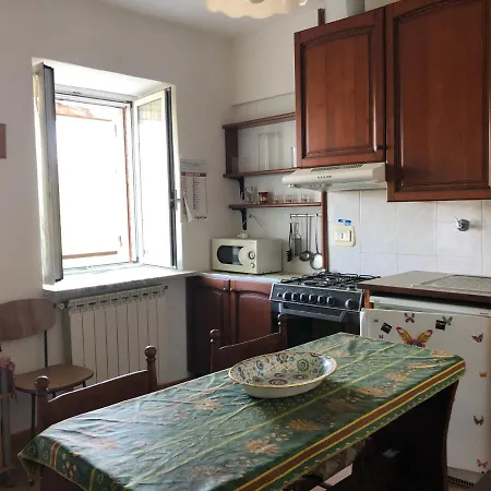 Green House Apartment